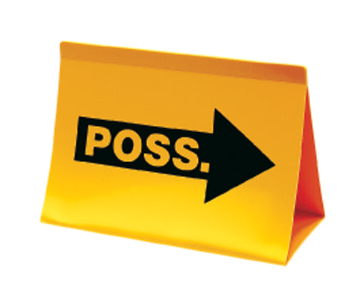 Possession Indicator for Basketball