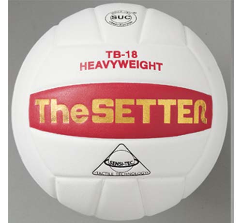 Tachikara TB-18 "The Setter" Volleyball