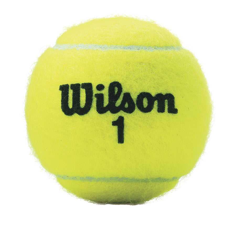 Wilson Extra Duty Tennis Balls WRT1001