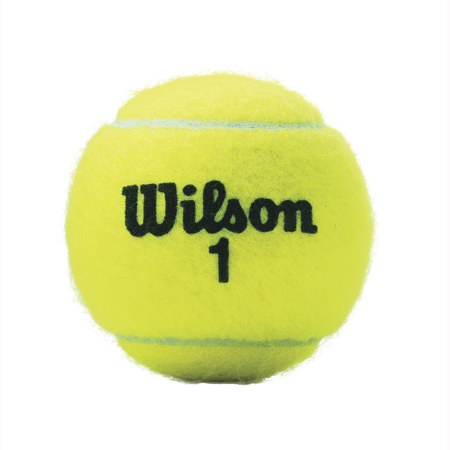 Wilson Regular Duty Tennis Balls WRT1003