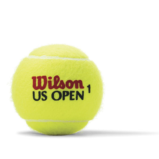 Wilson U.S. Open Regular Duty Tennis Balls WRT1073