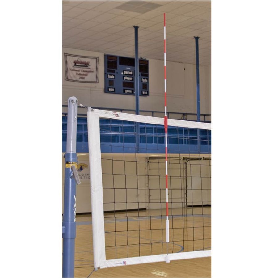 TSANTENNAE Glass Volleyball Antennae