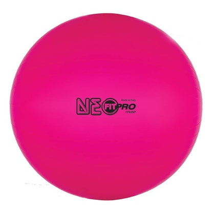 Fitpro Exercise Balls