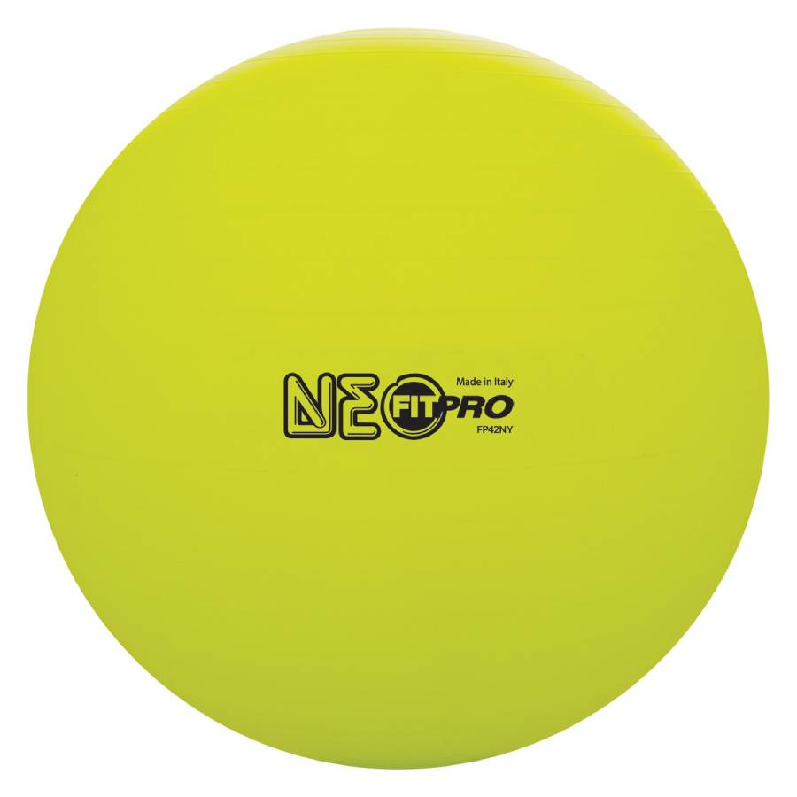 Fitpro Exercise Balls