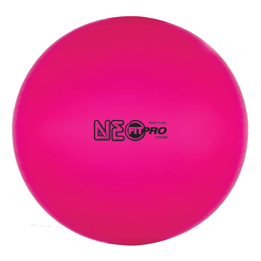 Fitpro Exercise Balls