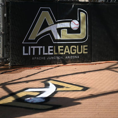 Folding Backstop Padding