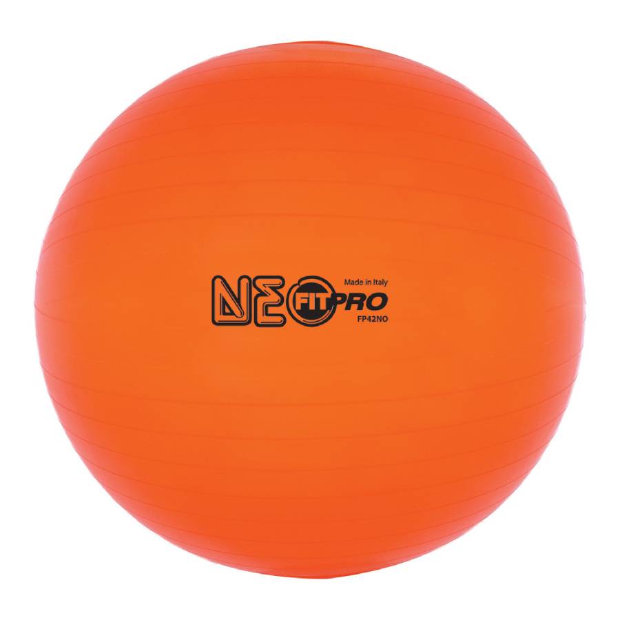 Fitpro Exercise Balls