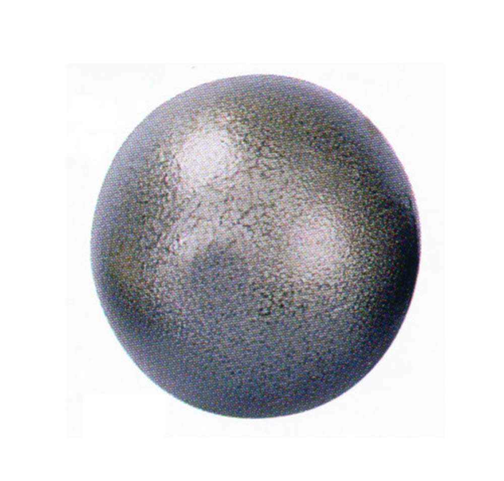 Iron Shot Put 6 LB
