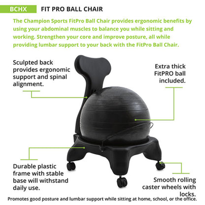 FitPro Ball Chair Adult Size - 22"L x 22"W x 31"H