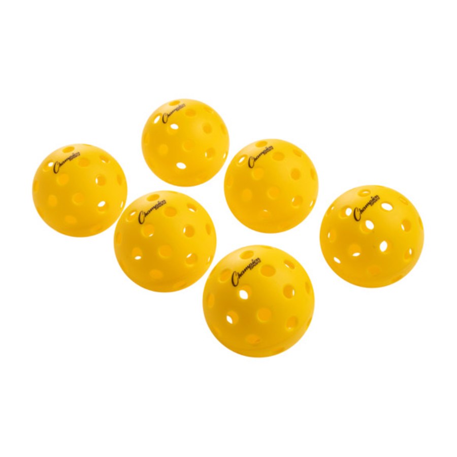 Outdoor Recreational Pickleball Set