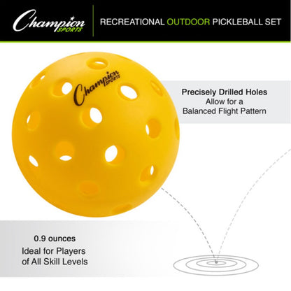 Outdoor Recreational Pickleball Set