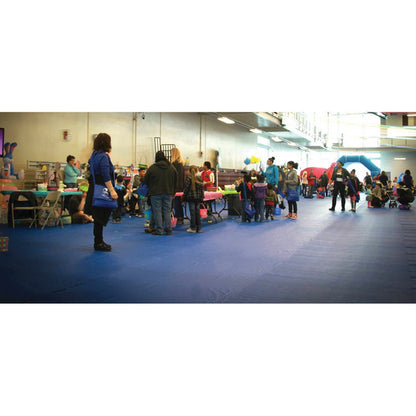 10' Wide Sections Of Gymguard Gymnasium Floor Covers 18 OZ. 10' x 1'Wide Sections / Black