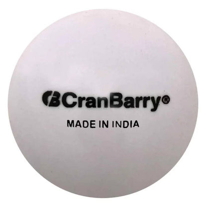 Cranbarry 110 Hollow Practice Field Hockey Ball (Dozen)