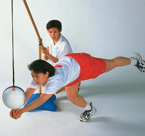 Dig-It Volleyball Trainer