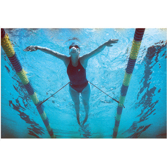 NZ S121 StretchcordzÂ® Stationary Swim Trainer