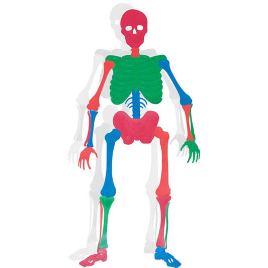 Bones Skeleton Educational Poly Floor Puzzle Set