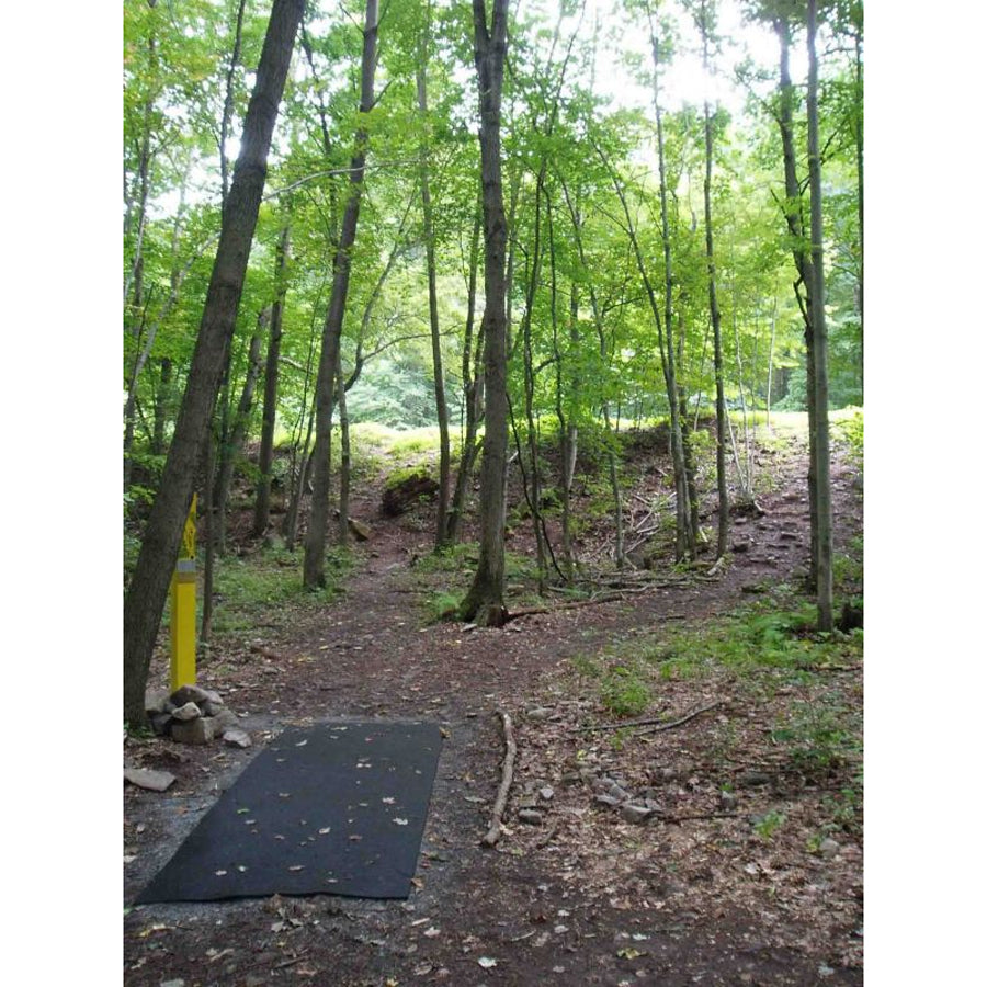 Disc Golf Tee Pads - No Maintenace - Fast Install (Each)