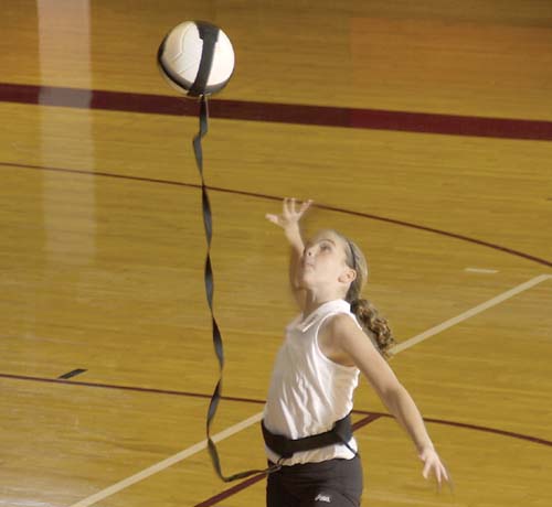 Volleyball Pal